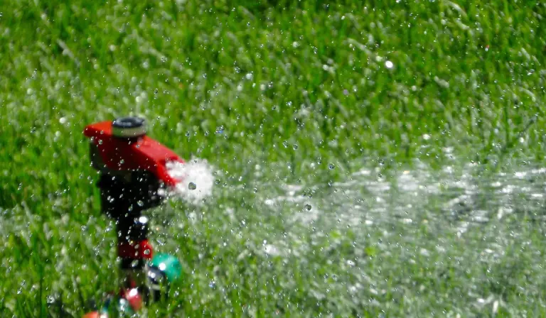 lawn sprinkler