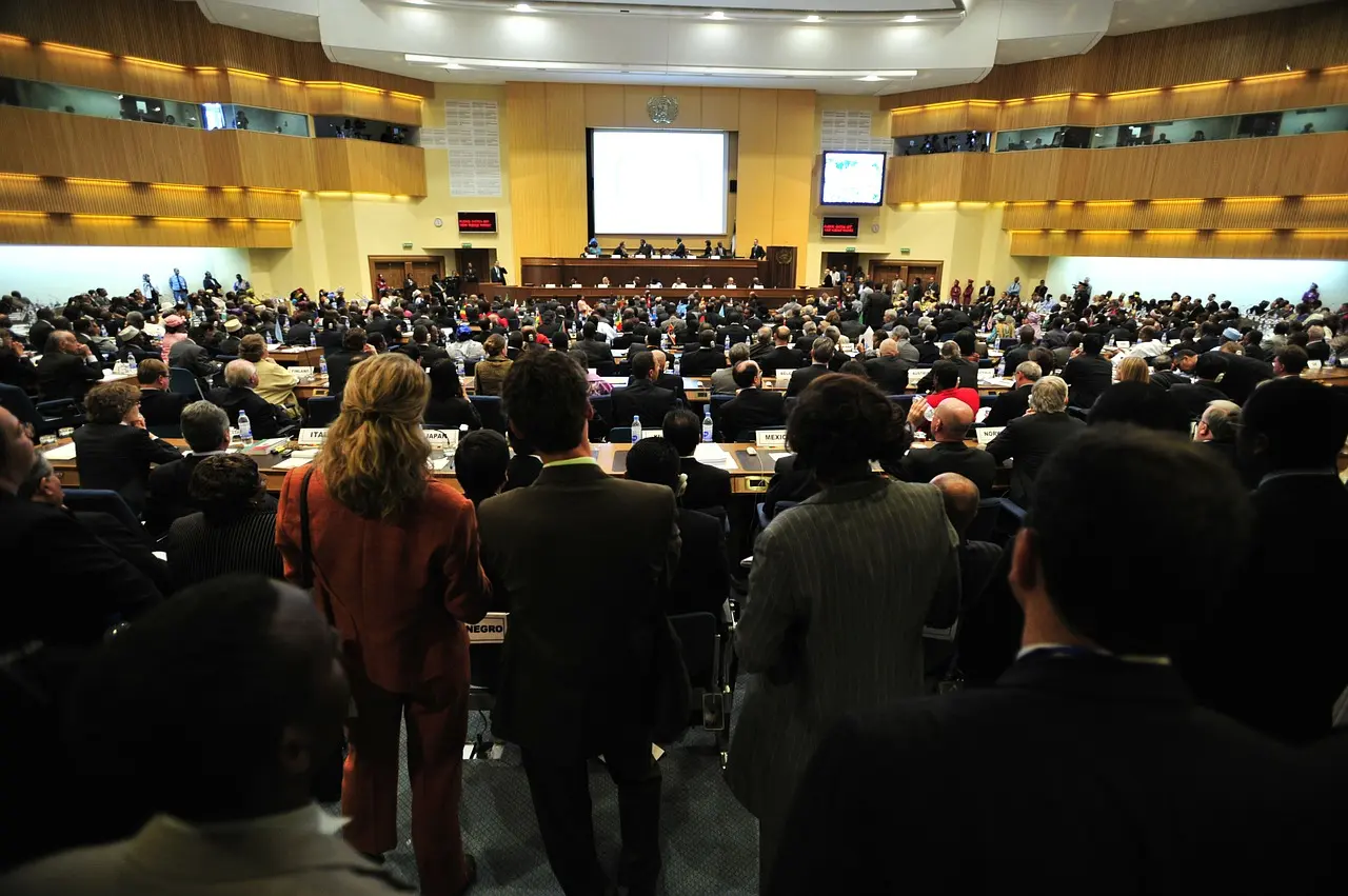 City council meeting from back of meeting hall. 