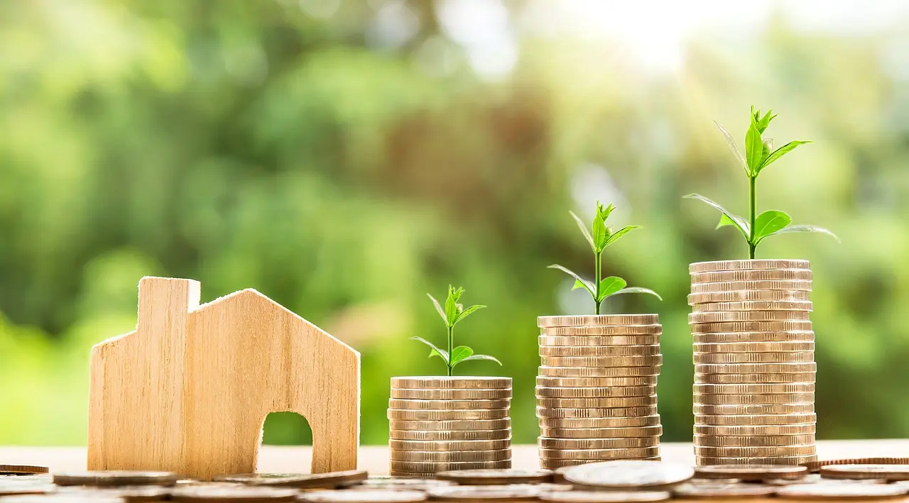 Property value increase shown with stacked coins