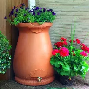 flower pot