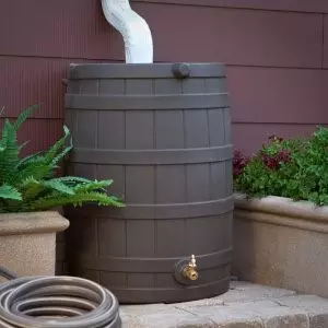 rain barrel