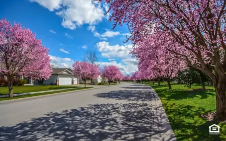 Street view of a neighborhood